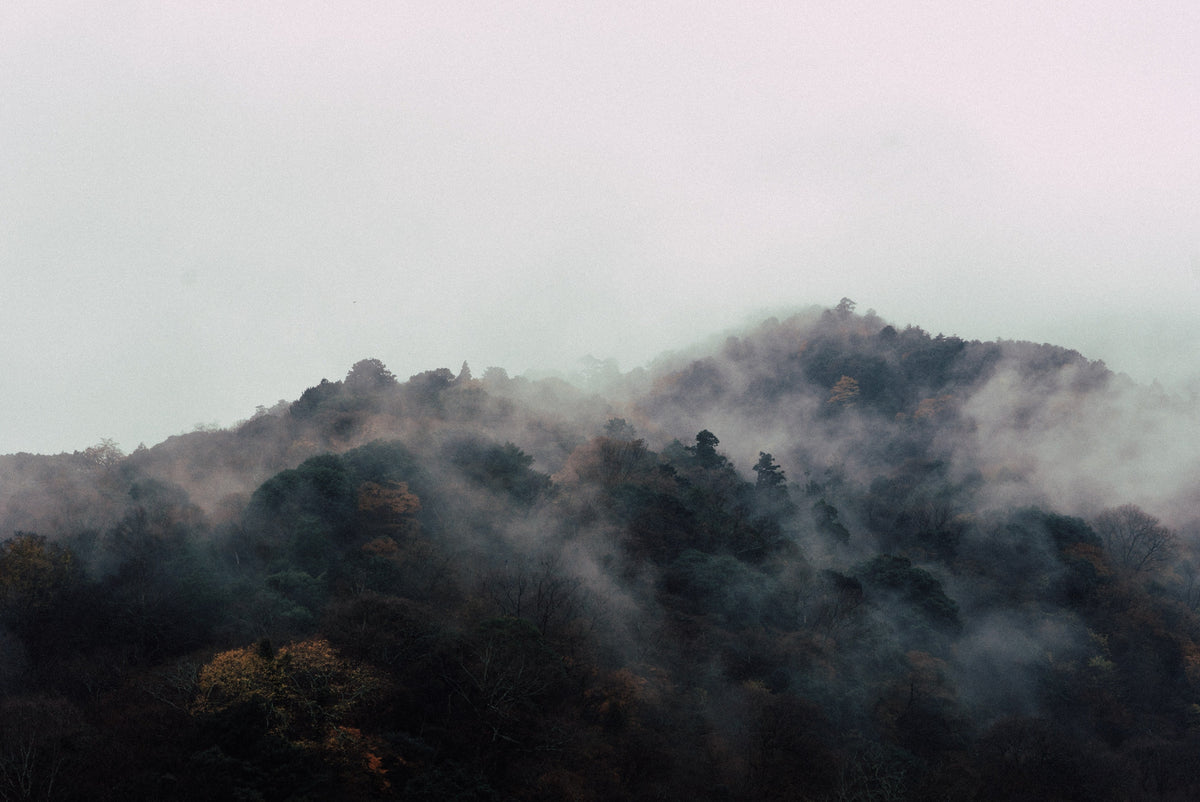 Wabi-Sabi: Finding Beauty in Imperfection
