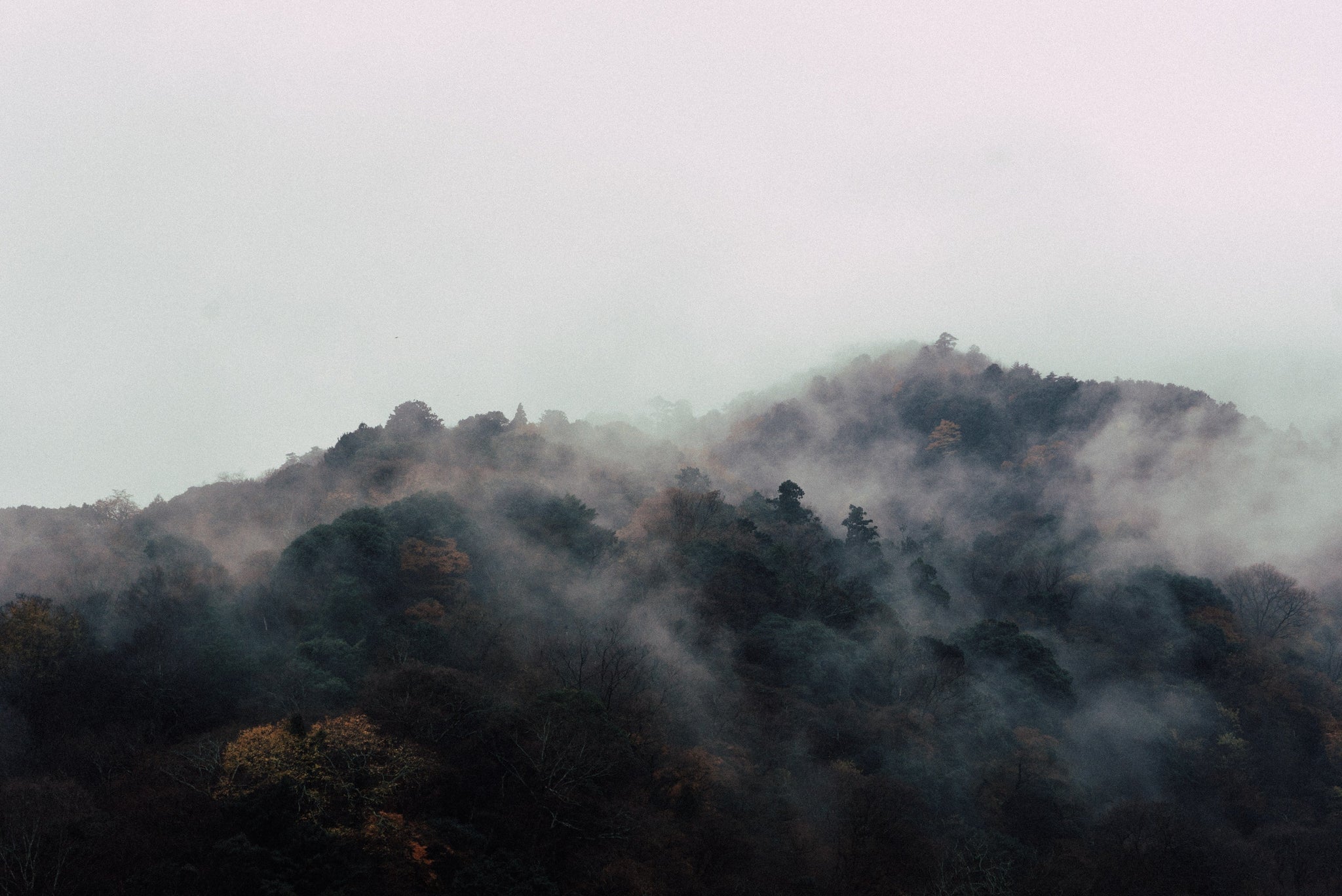 Wabi-Sabi: Finding Beauty in Imperfection